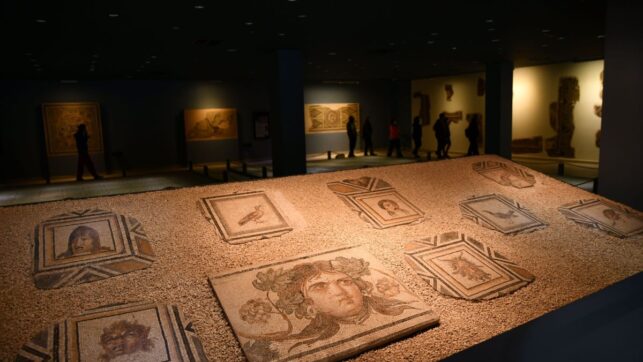 Zeugma Museum Of Mosaics